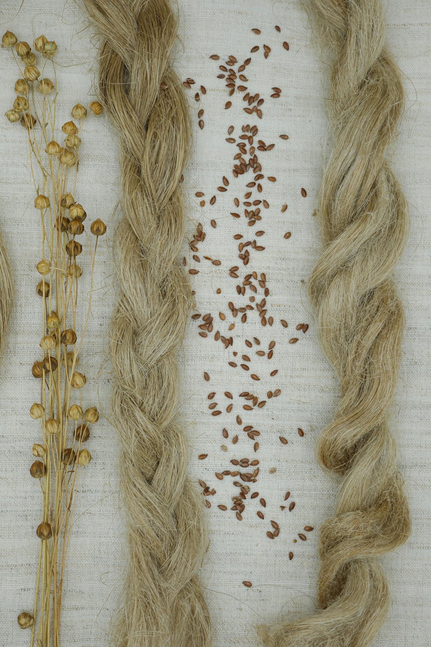 Linen fibre chosen for breathable handloom fabrics