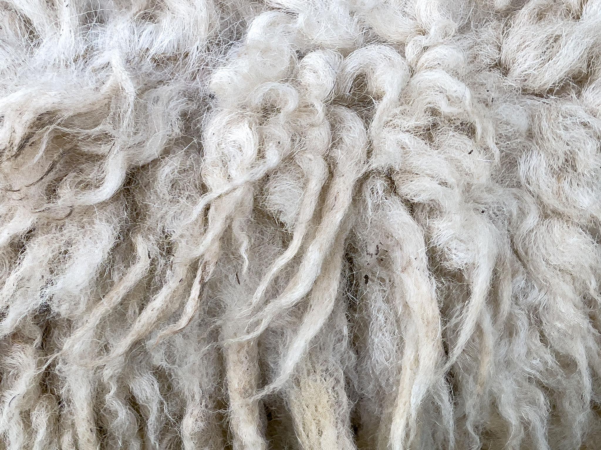 Wool fibre used in handloom textile weaving
